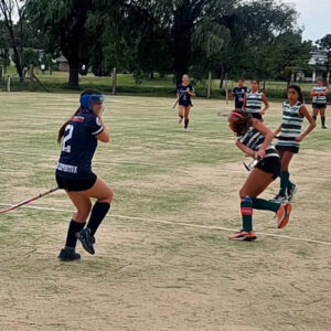 hockeyferro1