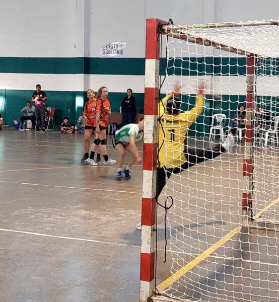 ferroprogresohandball