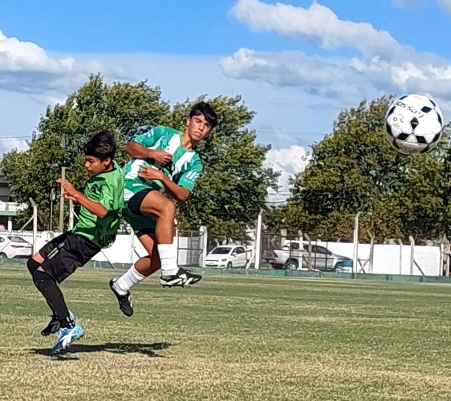 ferrofútbolclubquinta