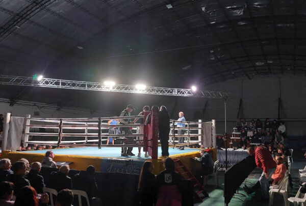 comisióndeboxdaireaux