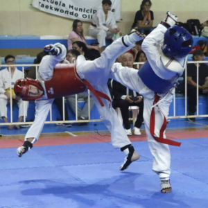 taekwondopoli.fw