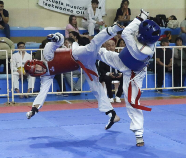 taekwondopoli.fw